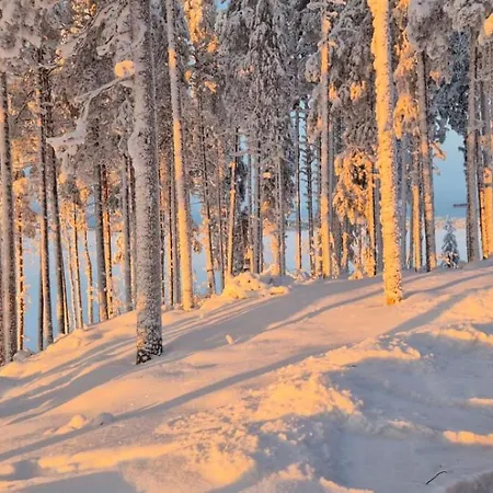 Northern Glow, Kemijoki Apartmán