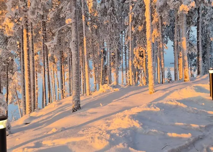 Northern Glow, Kemijoki 公寓