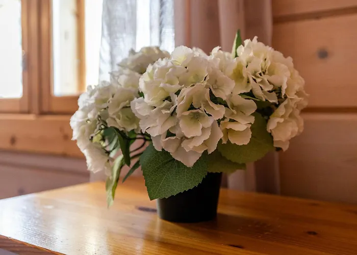 Northern Glow, Kemijoki 로바니에미